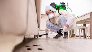 Best Emergency Pest Control  in Reading, MI